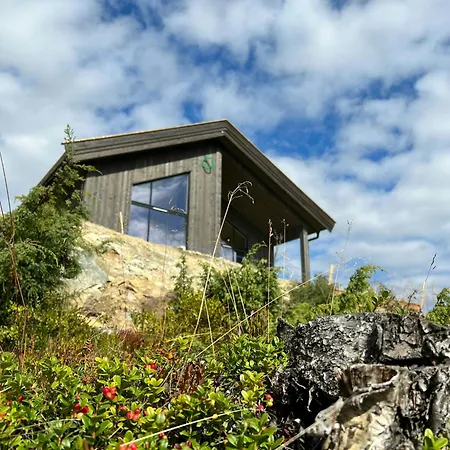 Modern Mountain Near Center Nesbyen